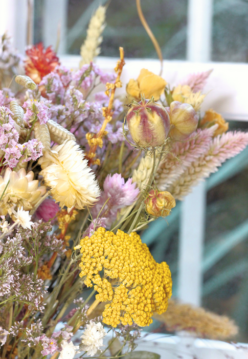 Close up of dried flowers against window. Yellow achillea flower is in evidence
