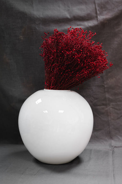 Autumnal bunch of dried flower broom bloom in dark red displayed in opaque white vase 