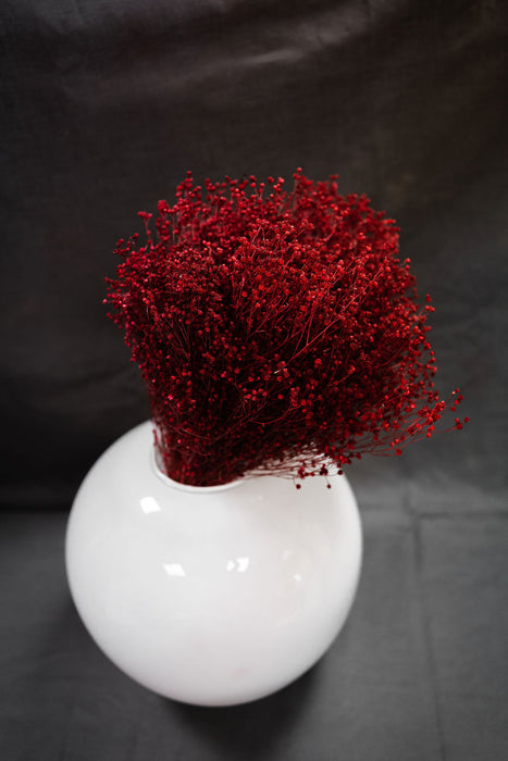 Opaque white vase with red dried flower broom bloom