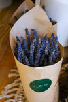 Dried lavender bunch